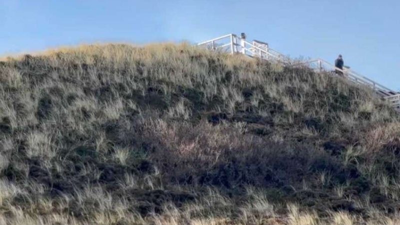 Reportage Natur: Sylts wilder Norden, zahmer Süden