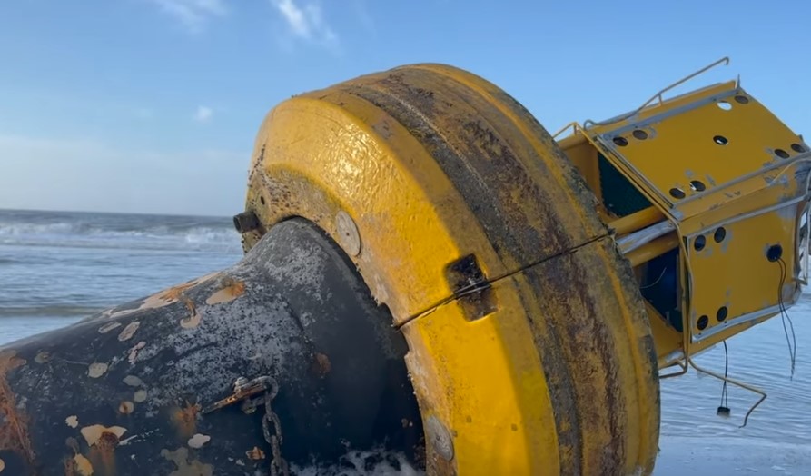 Unglaublicher Fund am Strand von Westerland