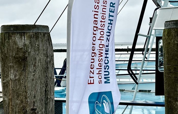 Sylter Muscheln 2026: Rekordqualität, neue Regeln – und ein Abschied